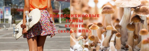 стафф Сосновый Бор