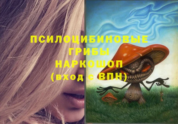 амфетамин Белокуриха