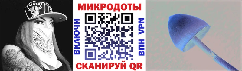 купить наркотик  Городовиковск  Псилоцибиновые грибы мицелий 